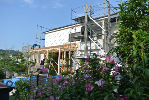 2013062903