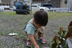 2013070905